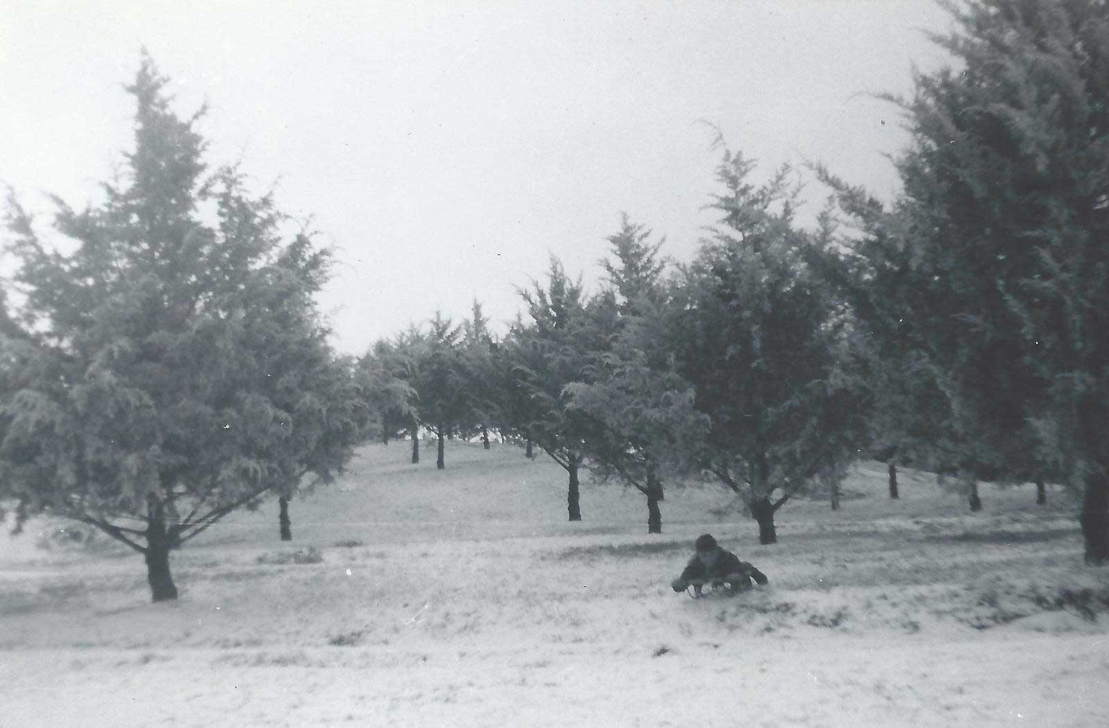 1940's-1950's Sledding down the hill