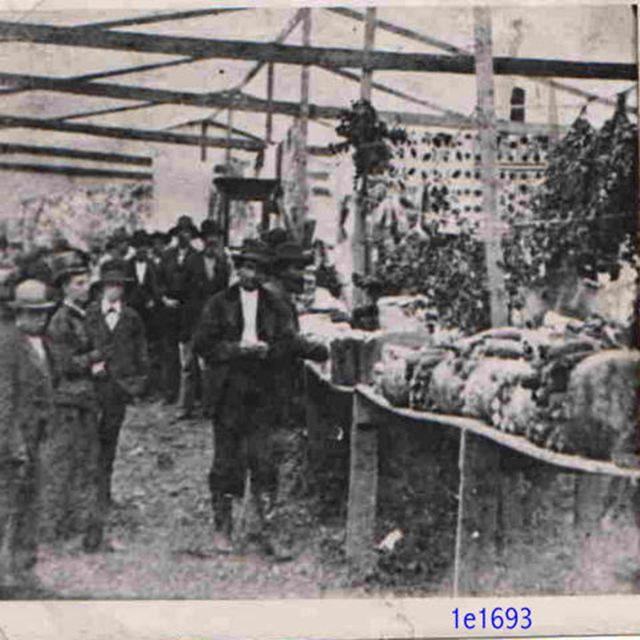 Cowley County Fair