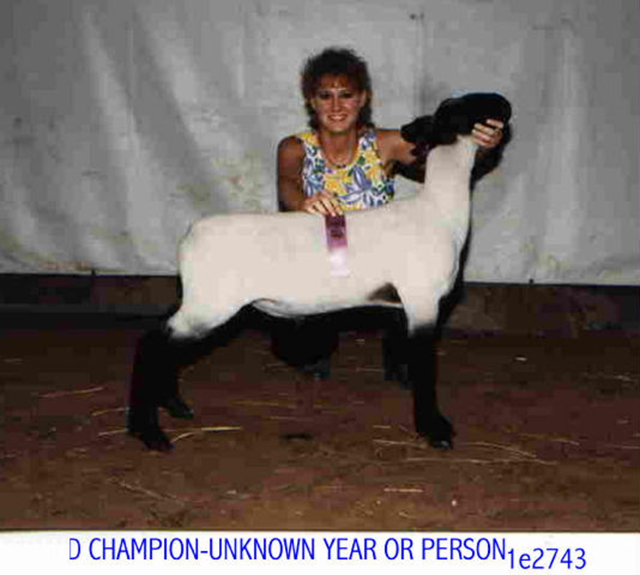 Cowley County Fair