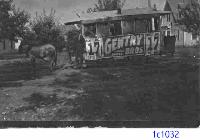 Circus
