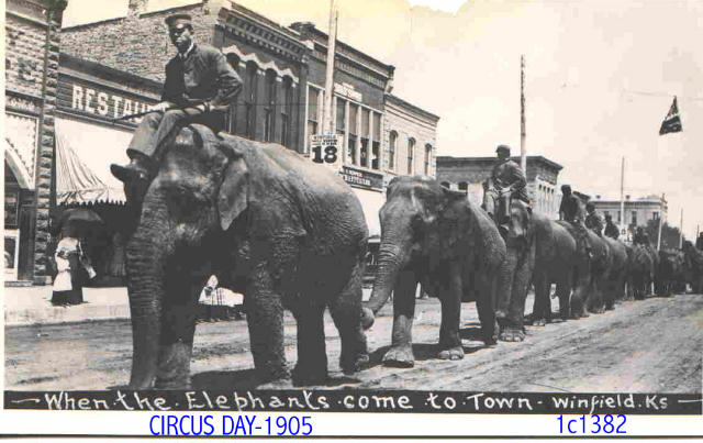 Circus