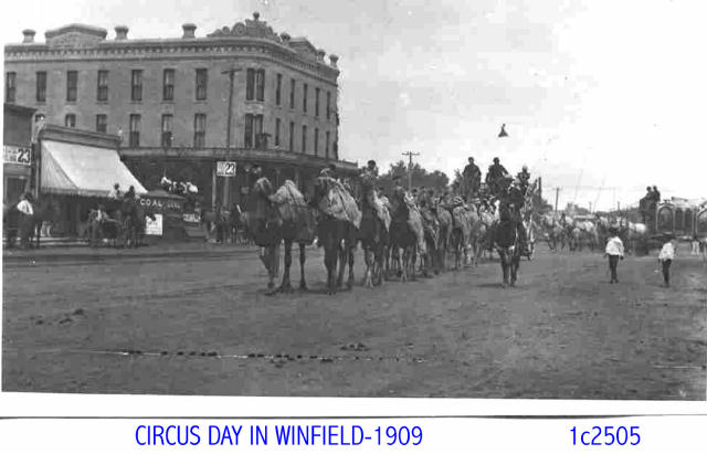 Circus