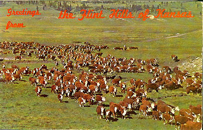 Arkansas City Postcards