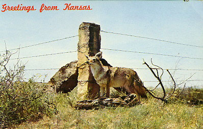 Arkansas City Postcards