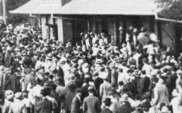 crowd