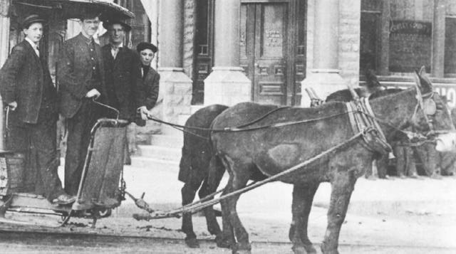 driver, friends and mules