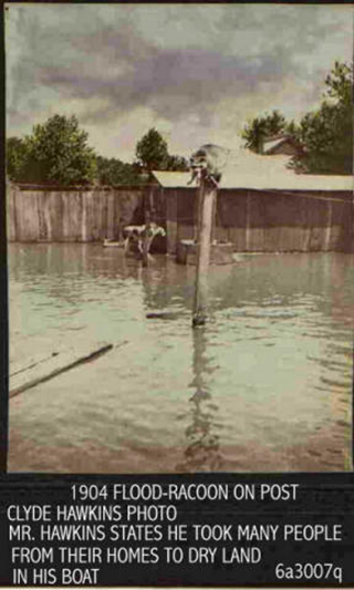 1904 Flood in Winfield