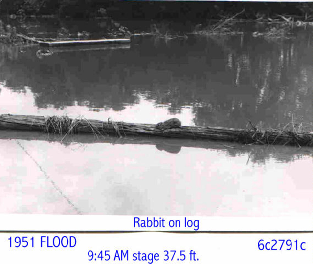 1951 Flood in Winfield, KS