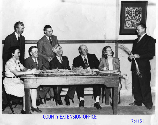 Government and Services, County photo
