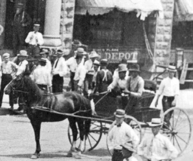 horse and buggy