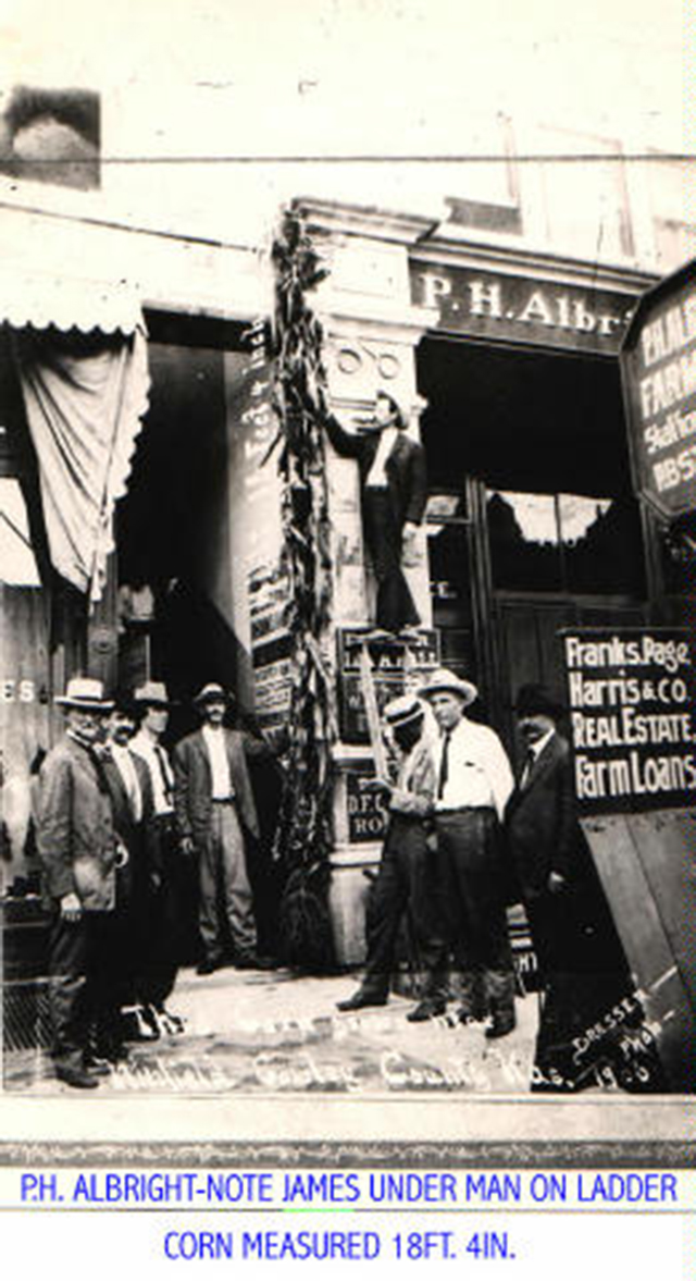 bank